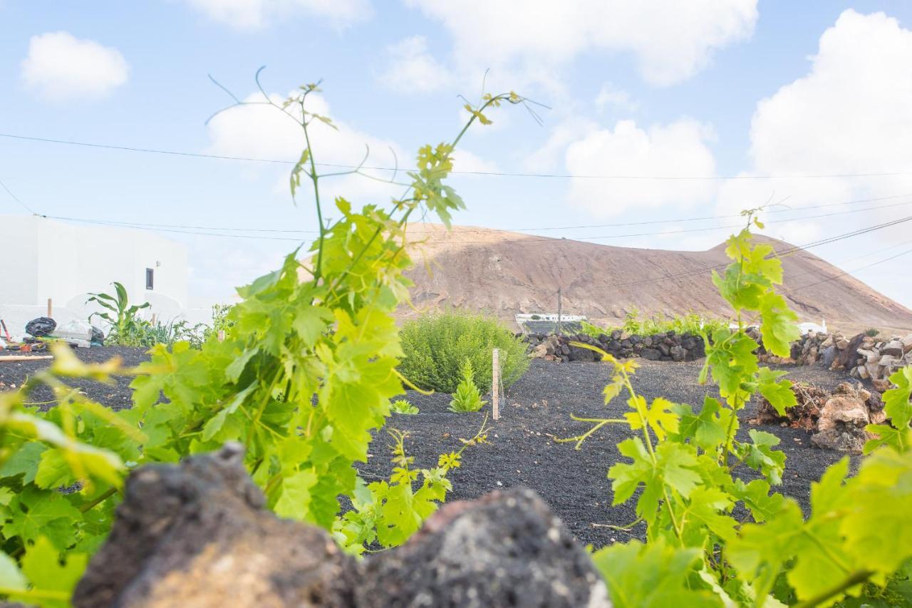 La VeguetaEslanzarote Casa Carait, Super Wifi, Sat Tv公寓 外观 照片